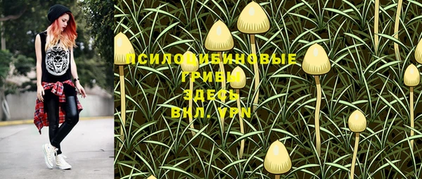 гашик Лагань